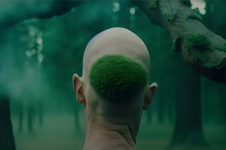 Lalo López abre nueva etapa musical y conceptual con “Árboles”