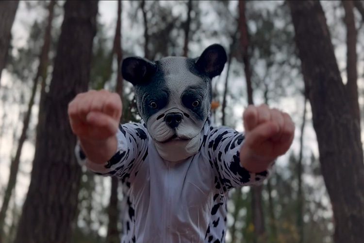 DA-CAT te obligan a elegir entre tener perro o hijos