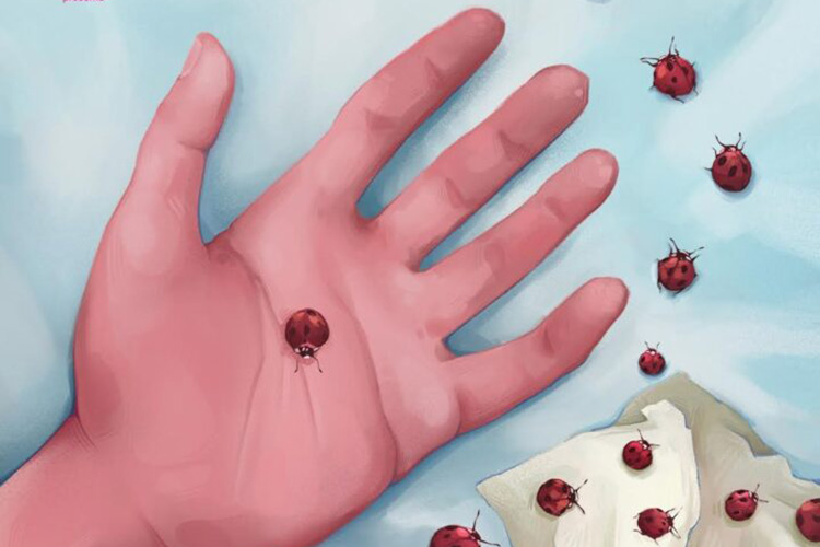 Una perra andaluza (T-2)