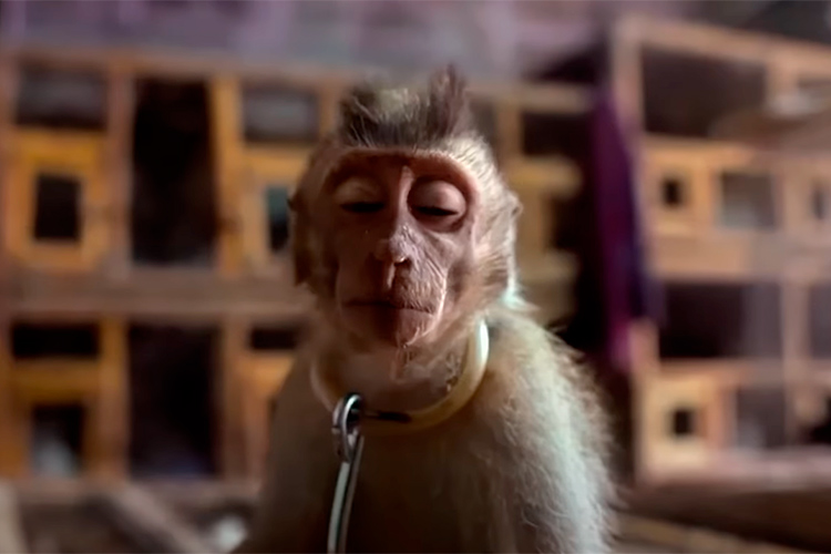 Warren Ellis inaugura oficialmente su santuario de animales