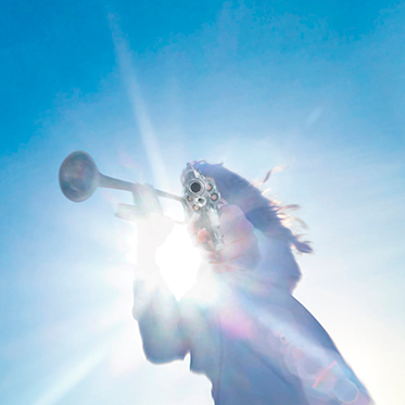 Geese Getting Killed