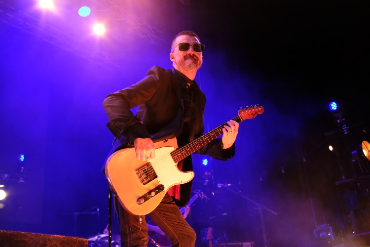 Veteranos y Revelaciones