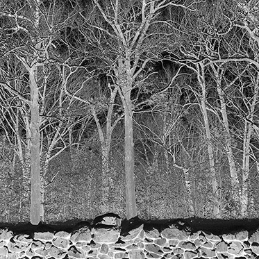 Sunshine and Balance Beams