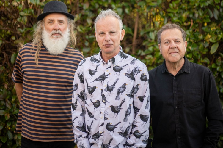 Els Pets y Els Amics de les Arts tocarán en el Festival Microclima